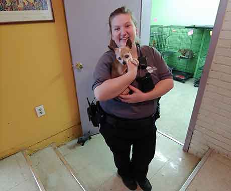 Humane Society Visit For Cuddles