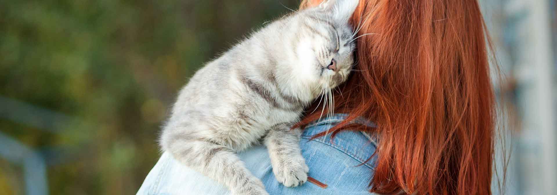 Animal Boarding And Grooming of Farmers Branch cat rubbing on owner slide background